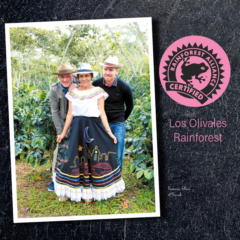 Café Los Olivales MOULU