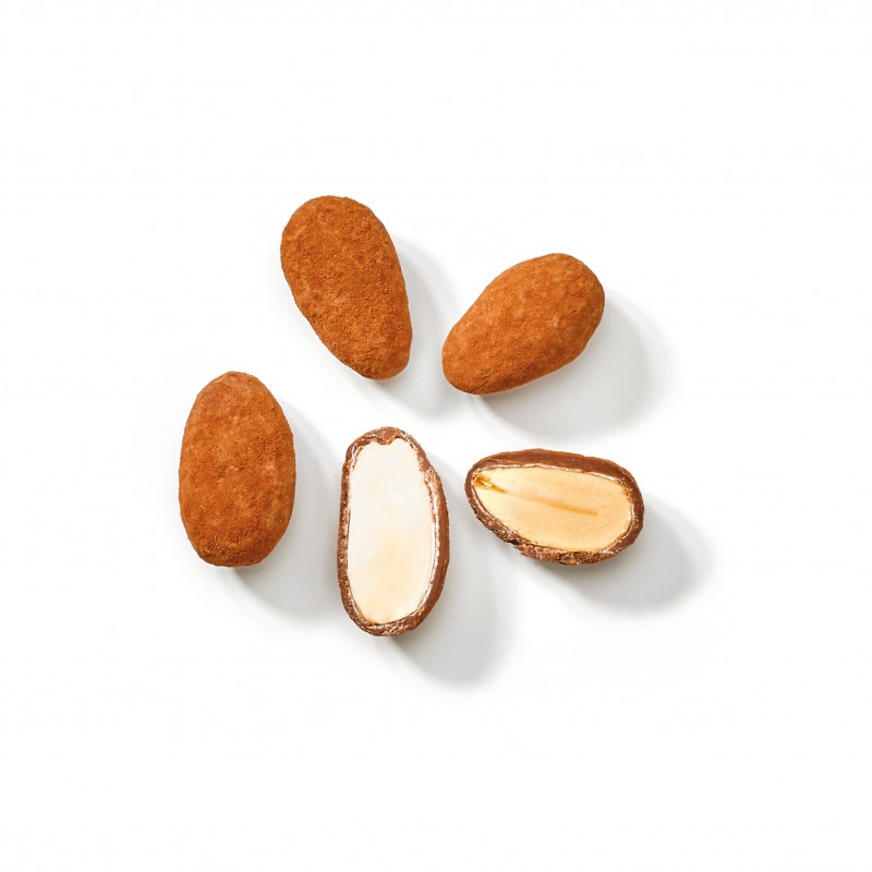 Cube Amandes Gala