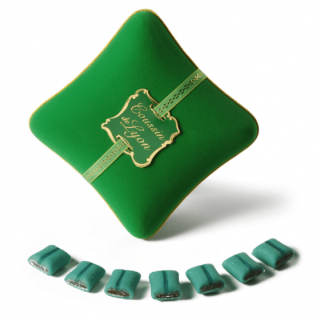 Coffret Coussin de LYON