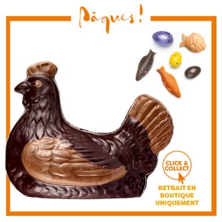 Poule noire n°6