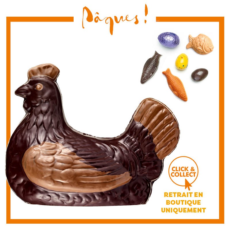 Poule noire n°6