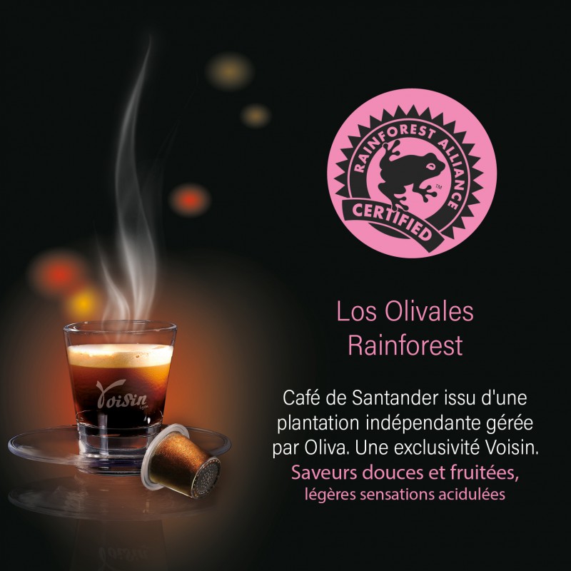 Café Los Olivales MOULU